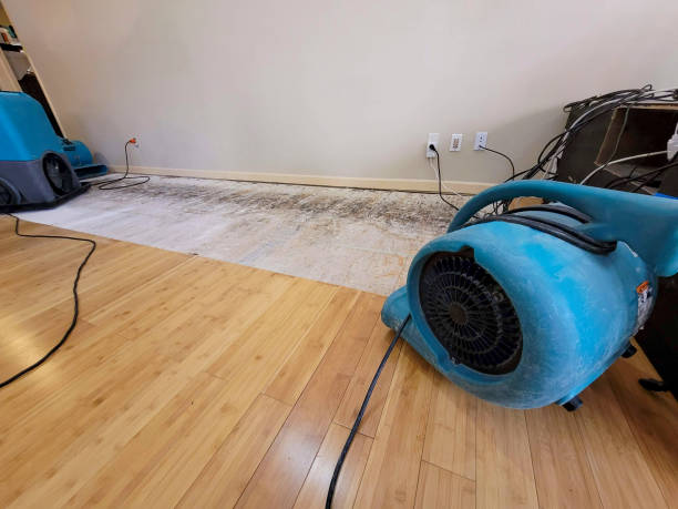 Professional Structural Drying technician working in Northfield, MA